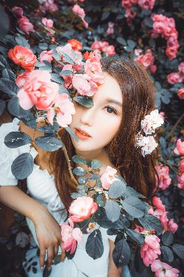 每天醒来都在汆肉？3个金银花妙用帮你轻松解决！